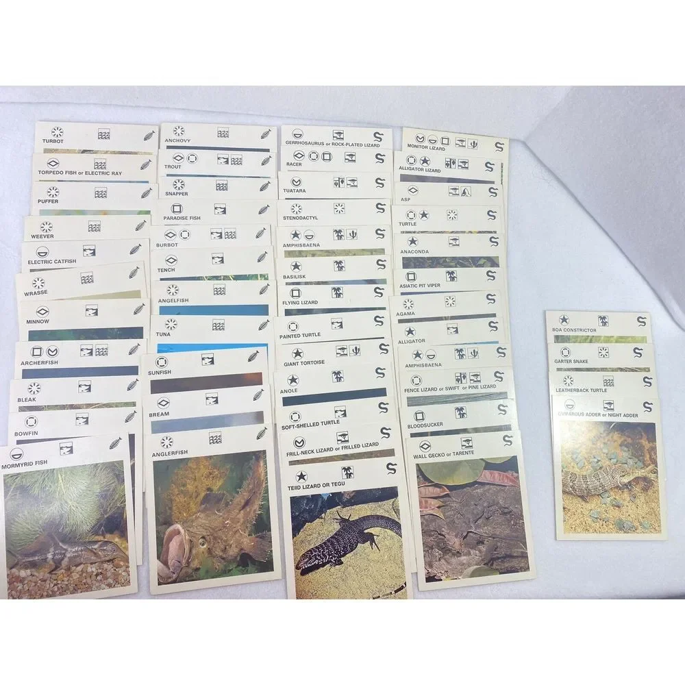 Wildlife Treasury VTG Animal 400+ Cards Box Dividers All Alphabet Classification